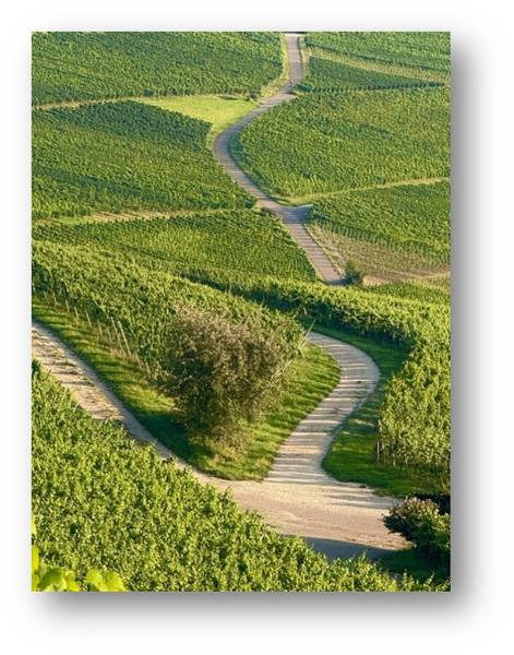 Quelle: Bild: Michael Wittenbruch; In: Pfarrbriefservice.de